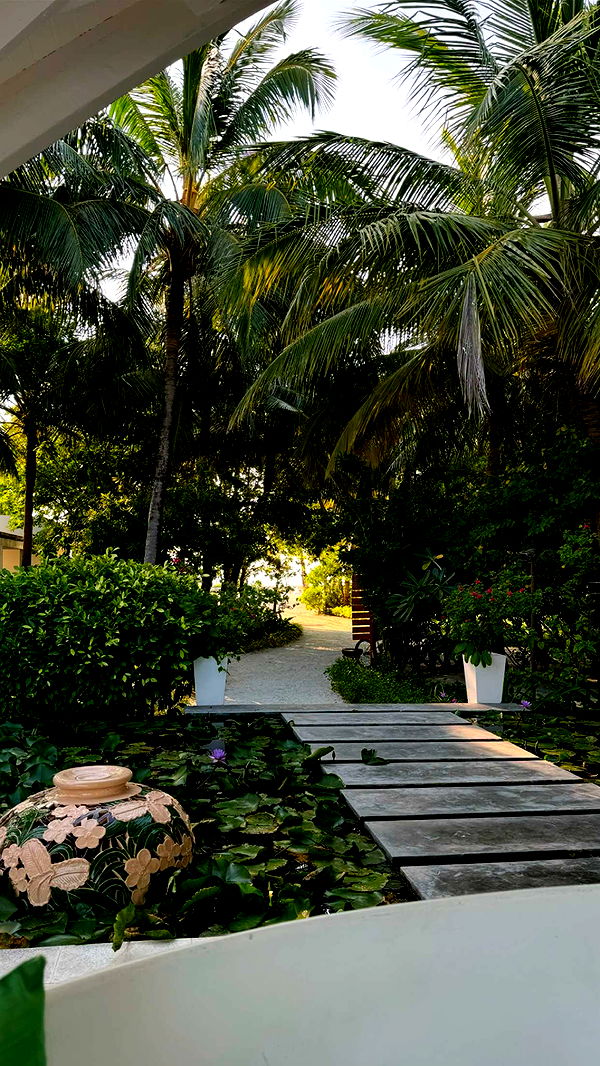 emxllouise image ~ Altpins