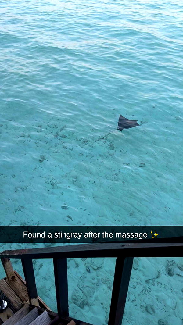 emxllouise image ~ Altpins