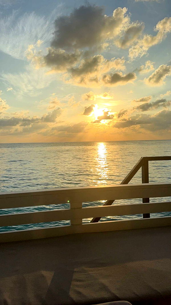 emxllouise image ~ Altpins