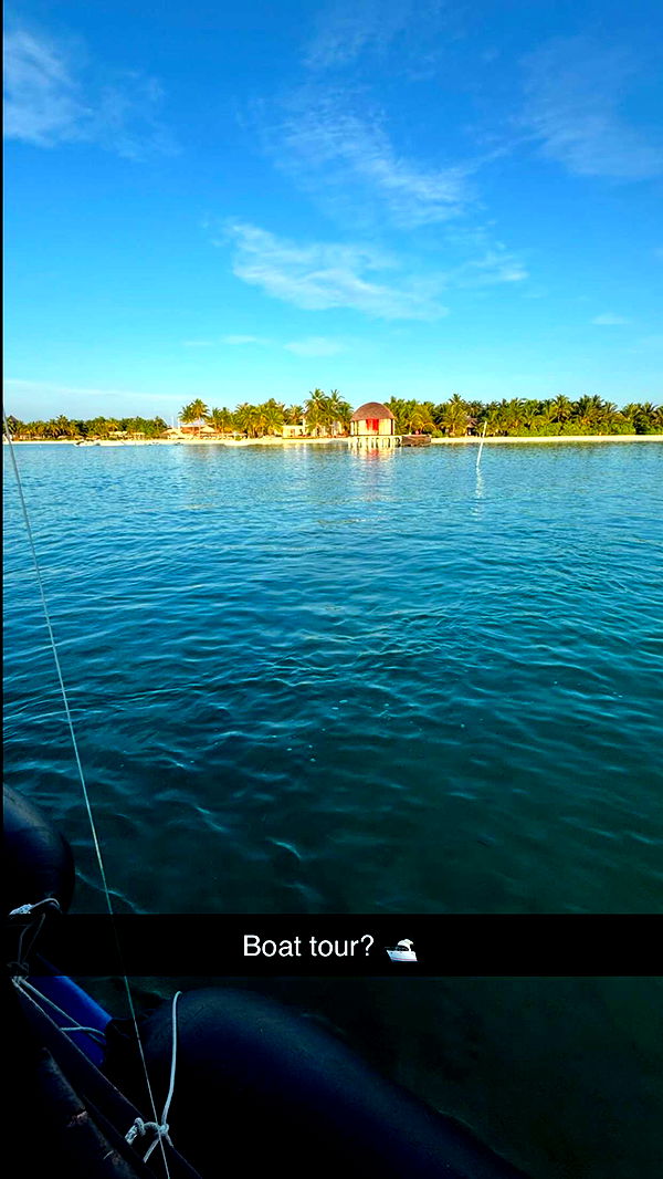 emxllouise image ~ Altpins