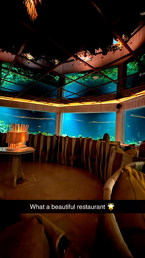 emxllouise image ~ Altpins