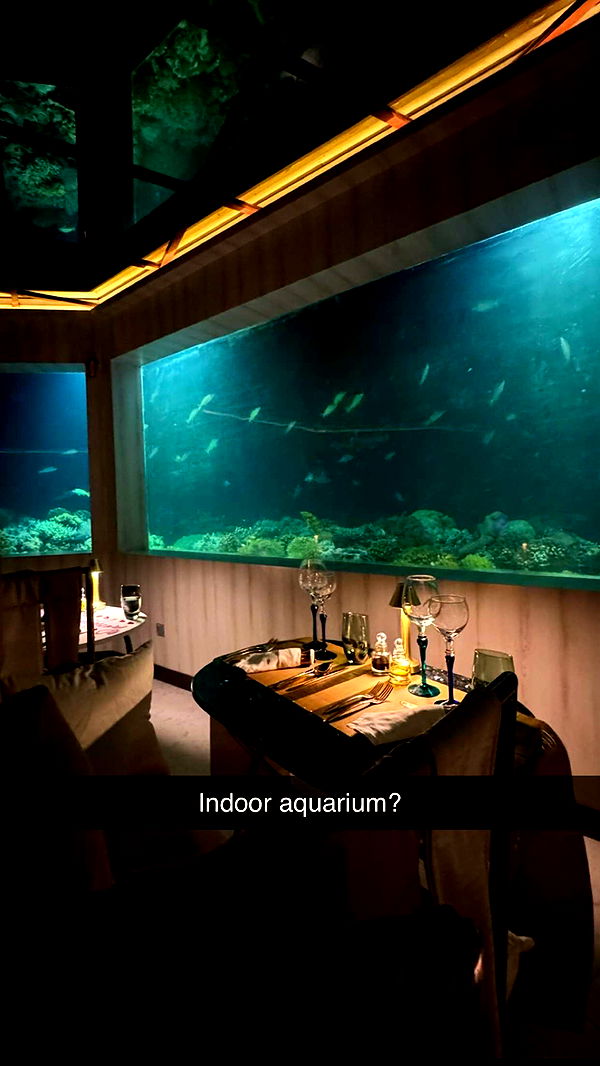 emxllouise image ~ Altpins