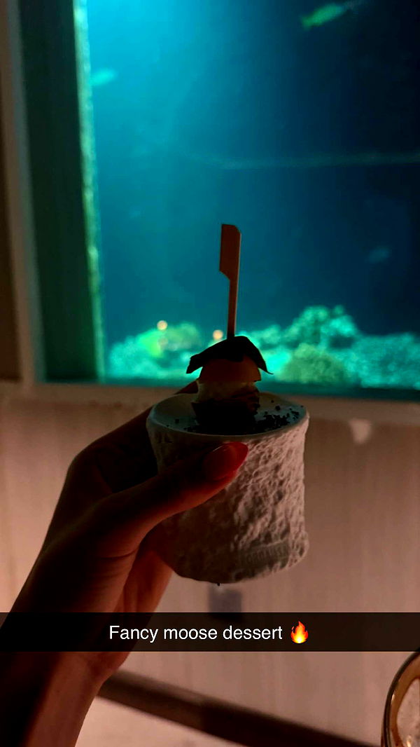 emxllouise image ~ Altpins