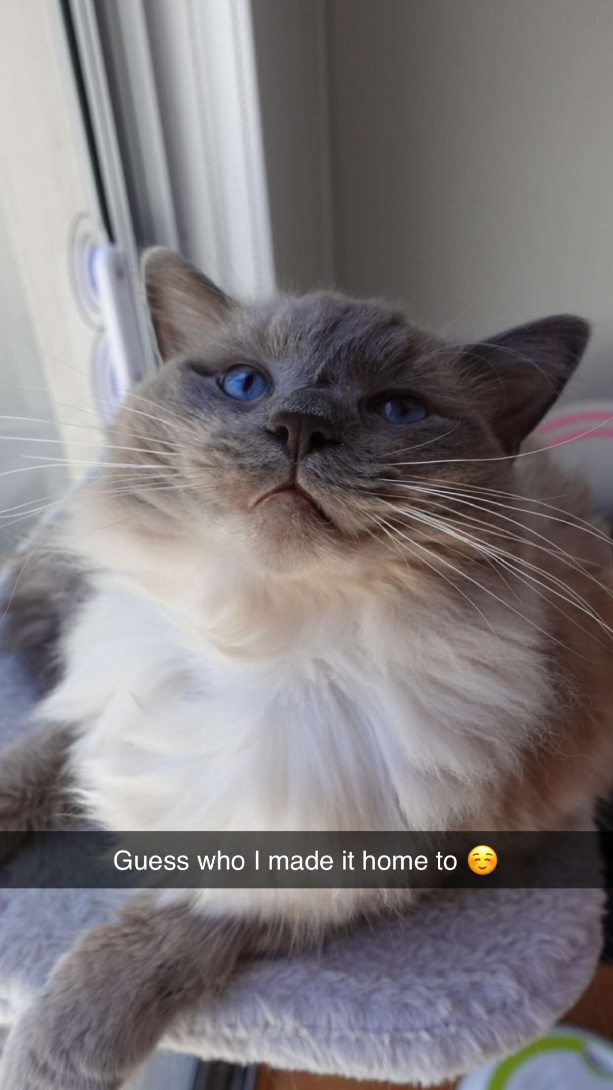 emxllouise snapchat image archive image