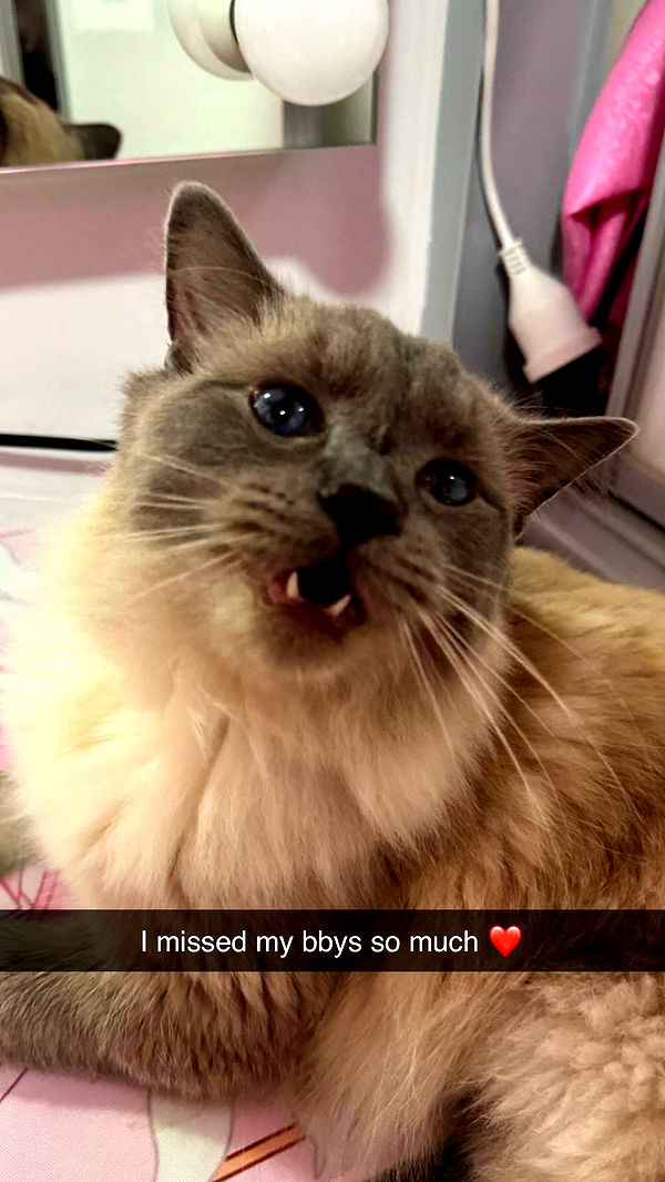 emxllouise image ~ Altpins