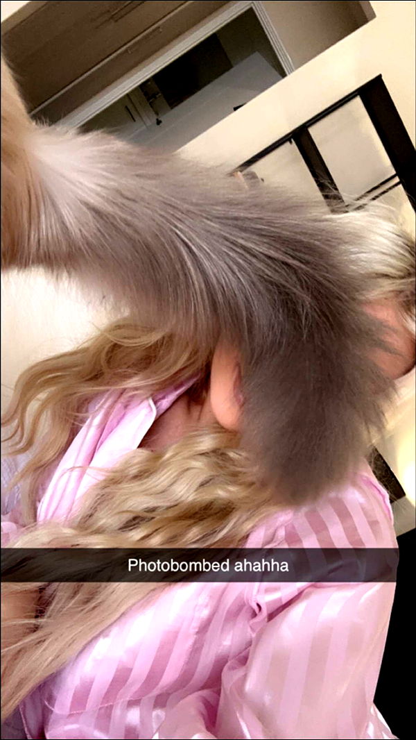 emxllouise image ~ Altpins