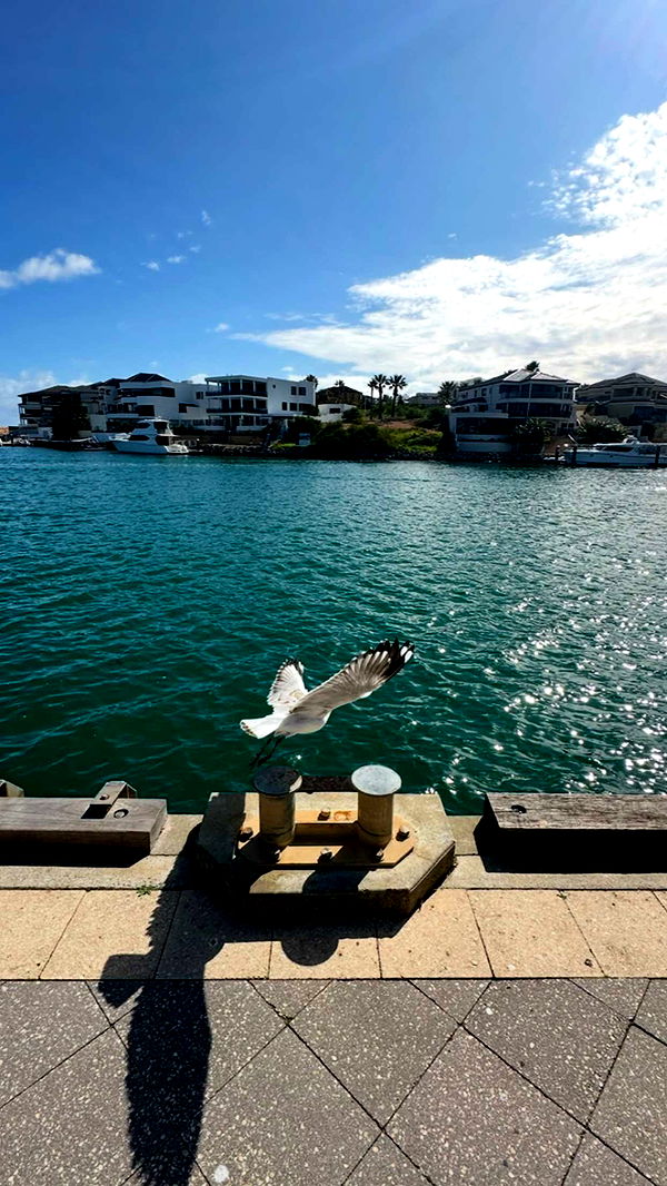 emxllouise image ~ Altpins