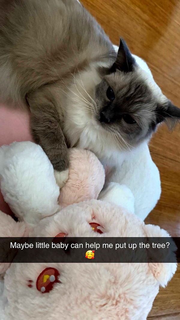 emxllouise image ~ Altpins