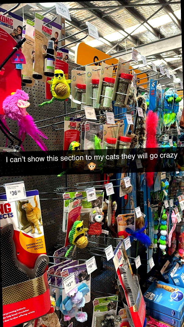 emxllouise image ~ Altpins