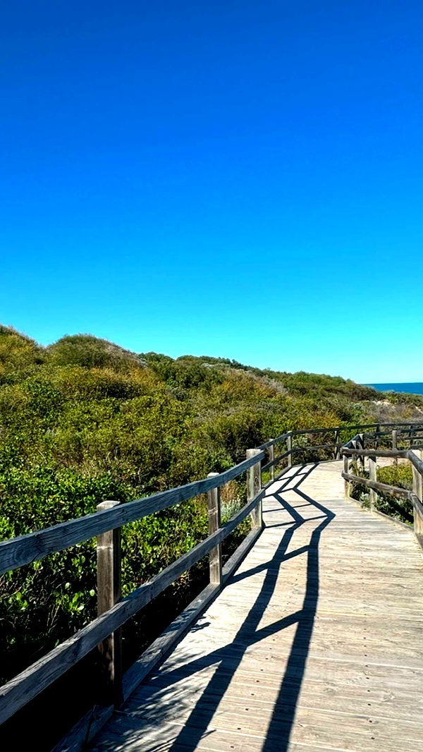 emxllouise image ~ Altpins