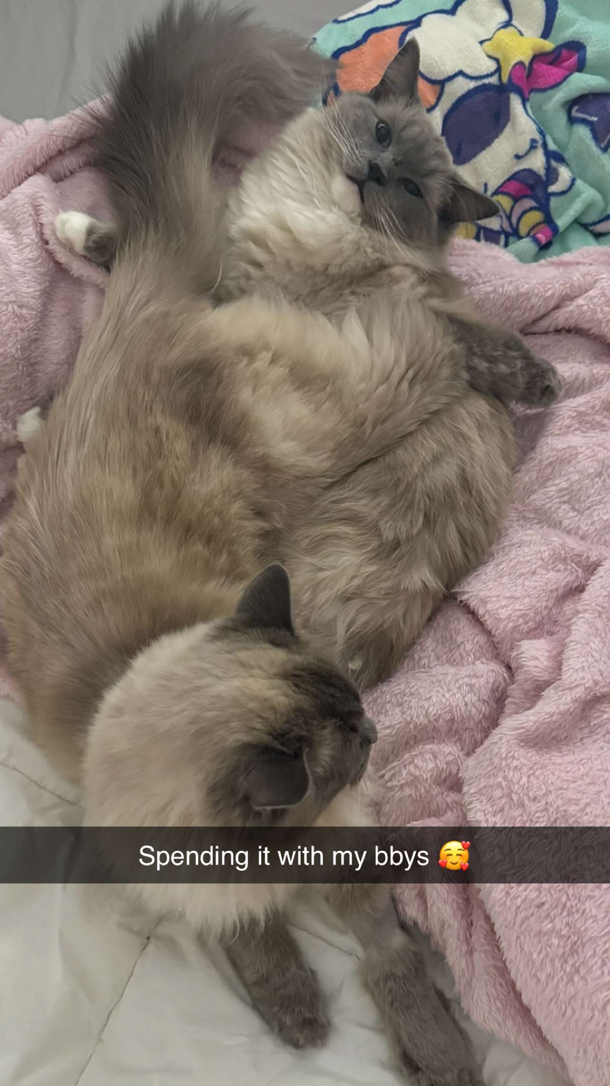 emxllouise snapchat image archive image