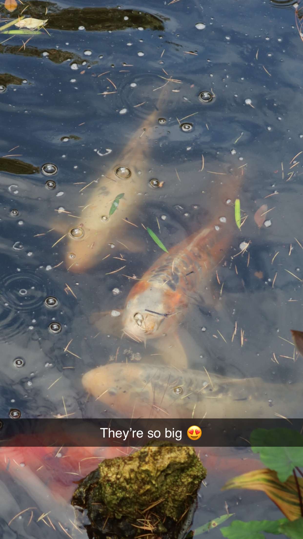 emxllouise snapchat image archive image