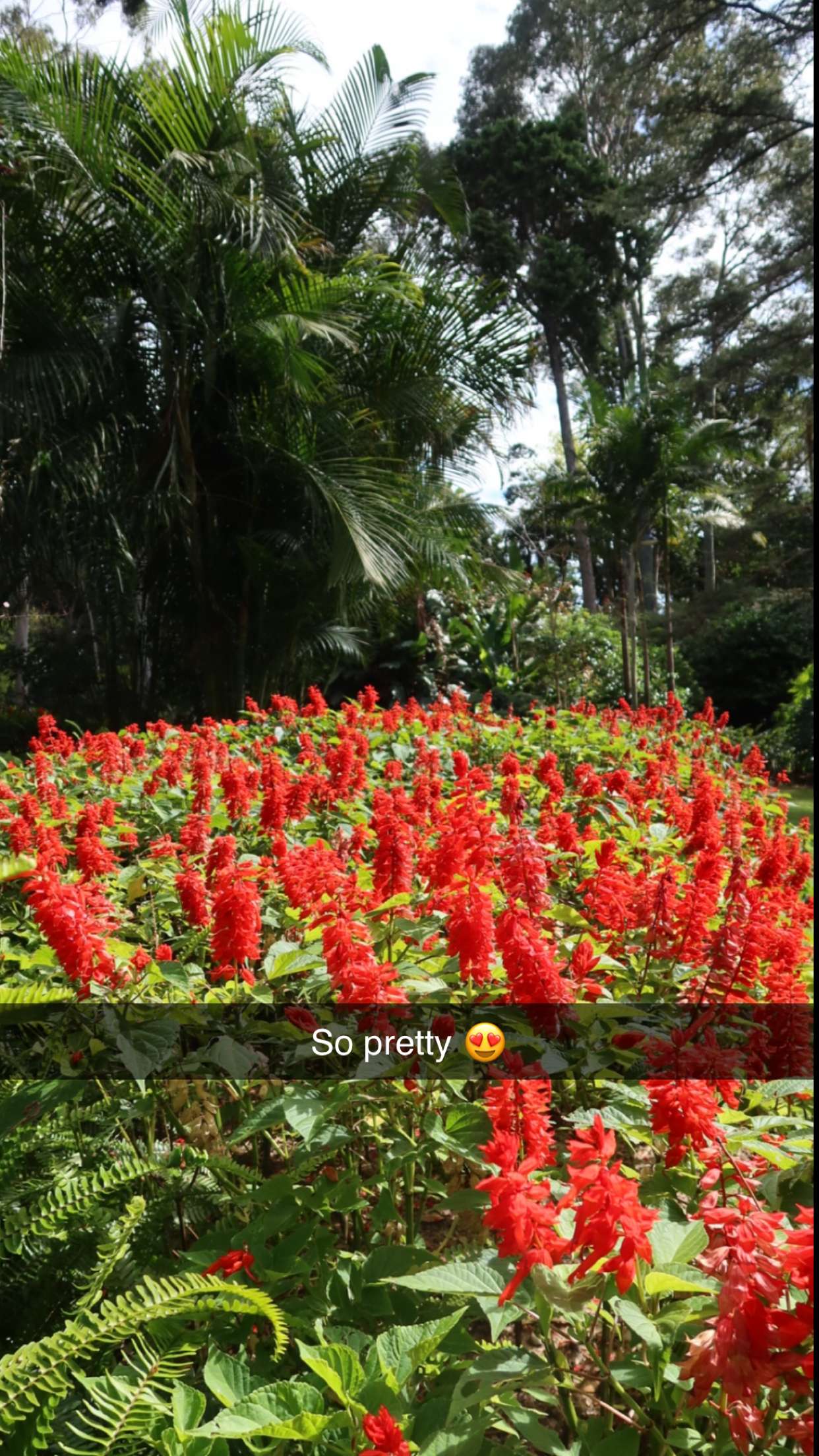 emxllouise snapchat image archive image