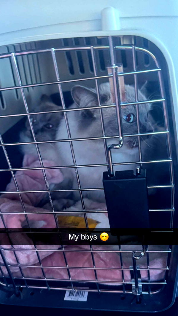 emxllouise image ~ Altpins