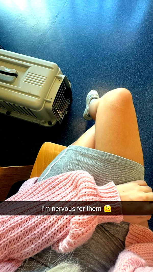 emxllouise image ~ Altpins