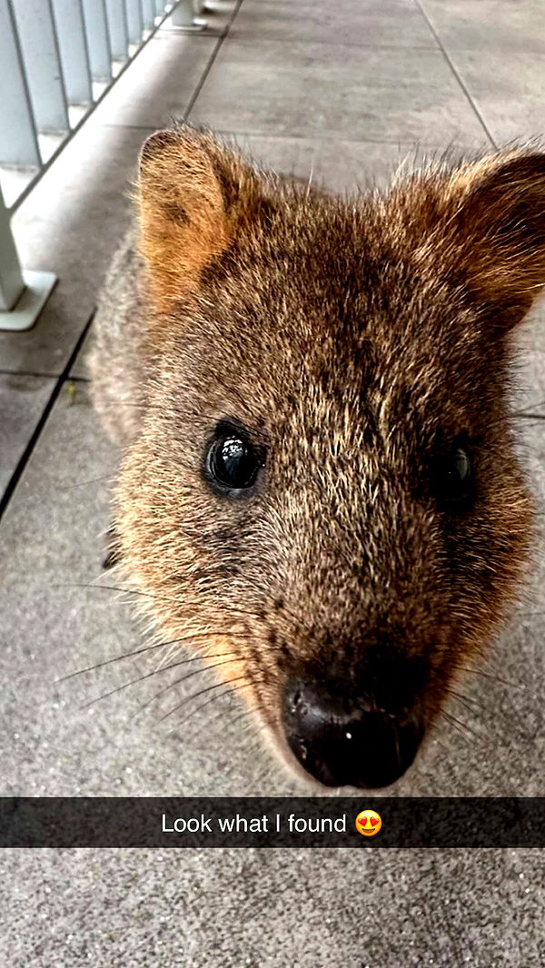 emxllouise image ~ Altpins