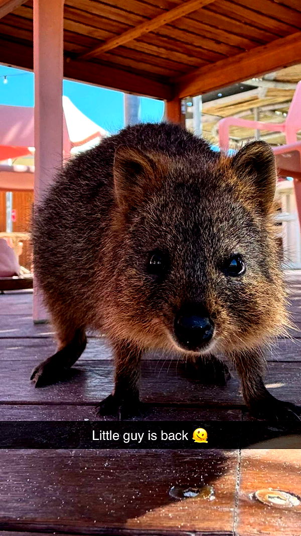 emxllouise image ~ Altpins