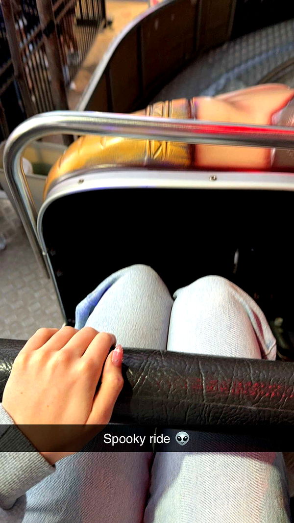 emxllouise image ~ Altpins