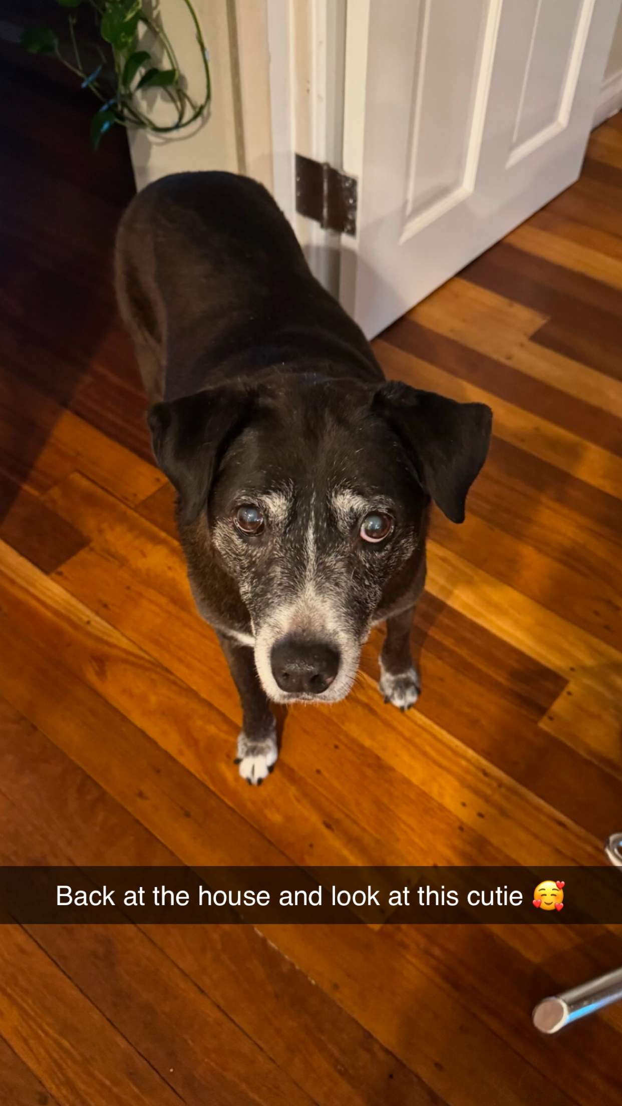 emxllouise snapchat image archive image