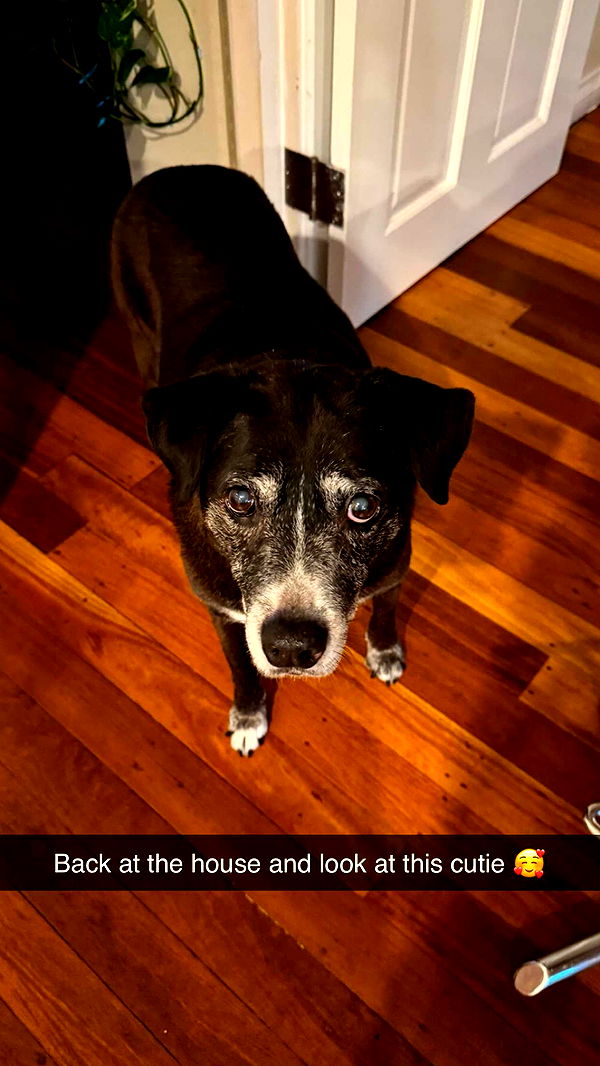 emxllouise image ~ Altpins