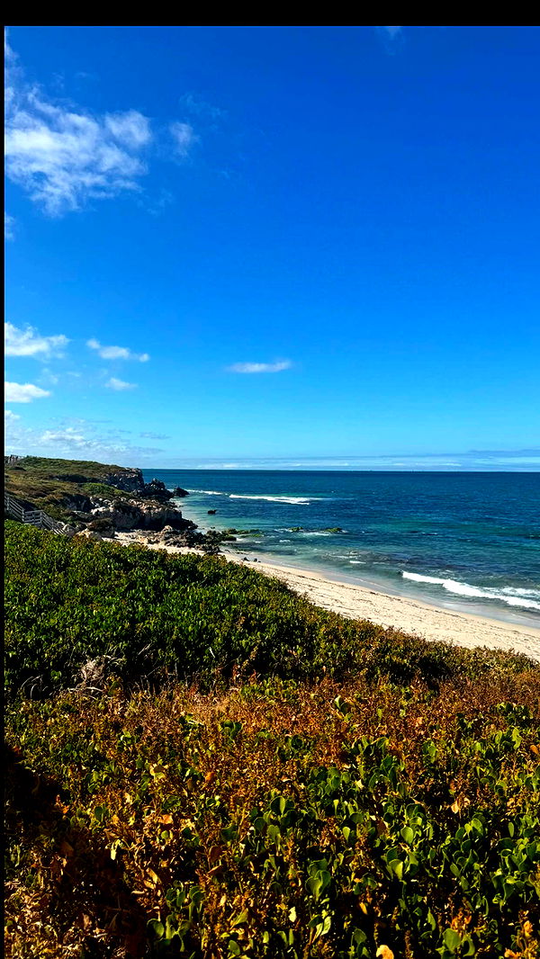 emxllouise image ~ Altpins