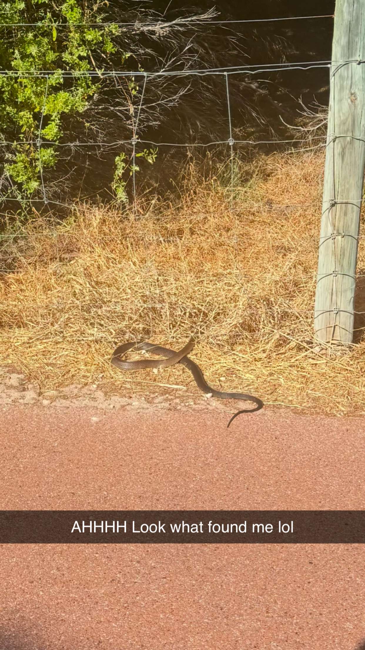 emxllouise snapchat image archive image