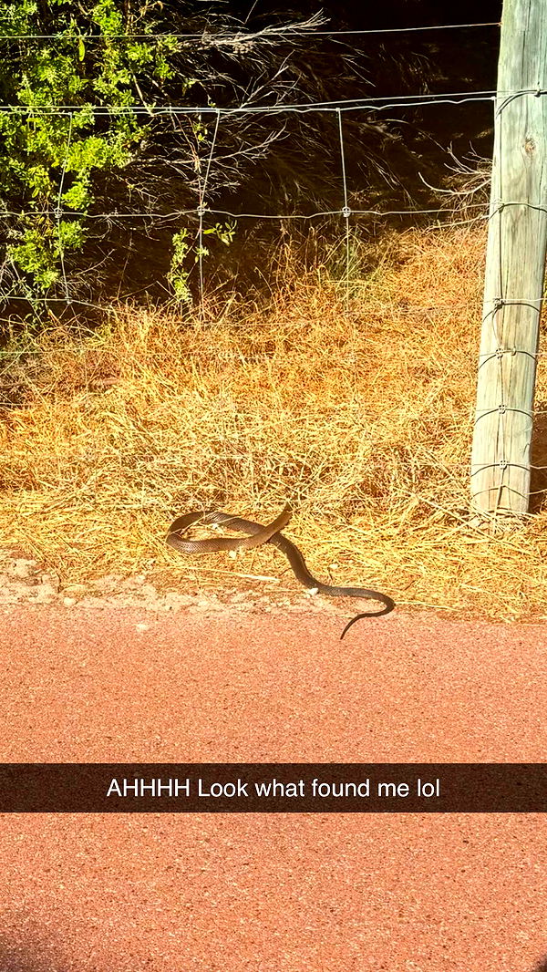 emxllouise image ~ Altpins