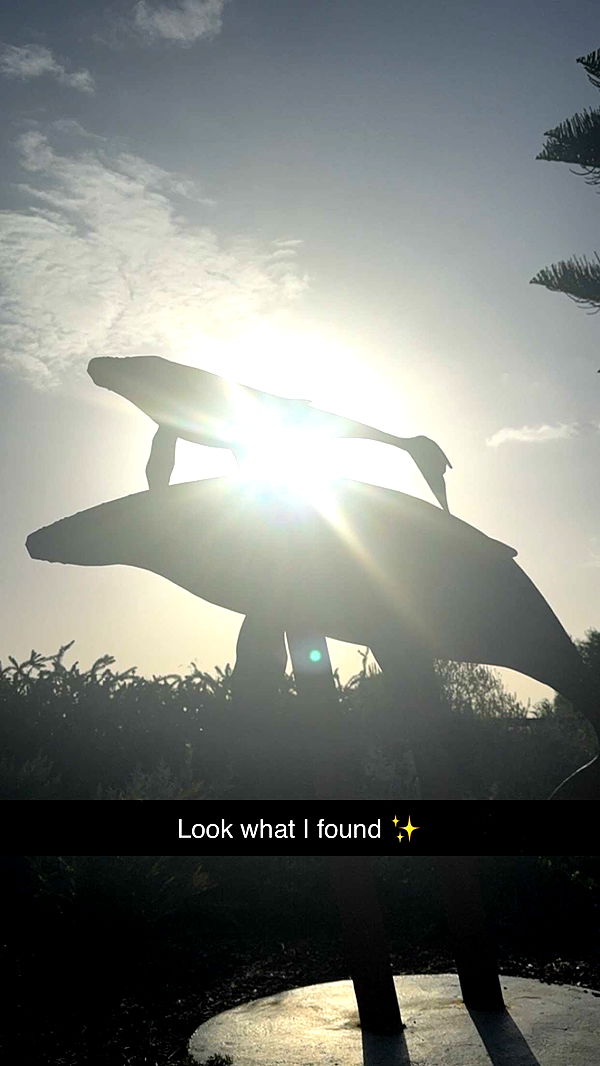 emxllouise image ~ Altpins