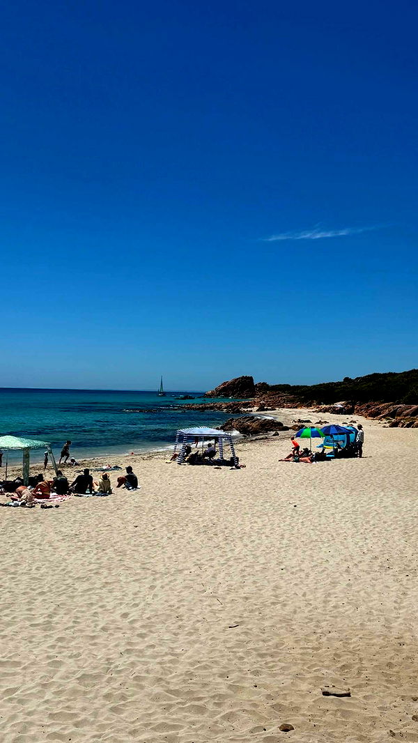 emxllouise image ~ Altpins