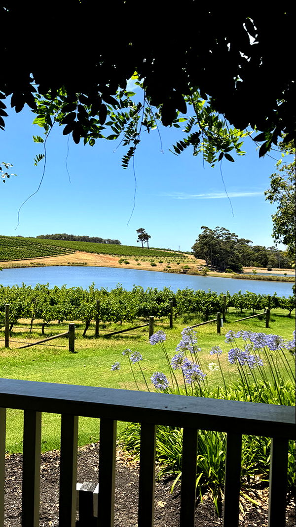 emxllouise image ~ Altpins