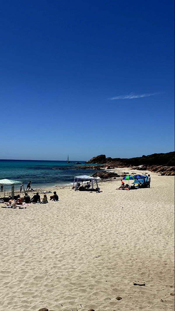 emxllouise image ~ Altpins