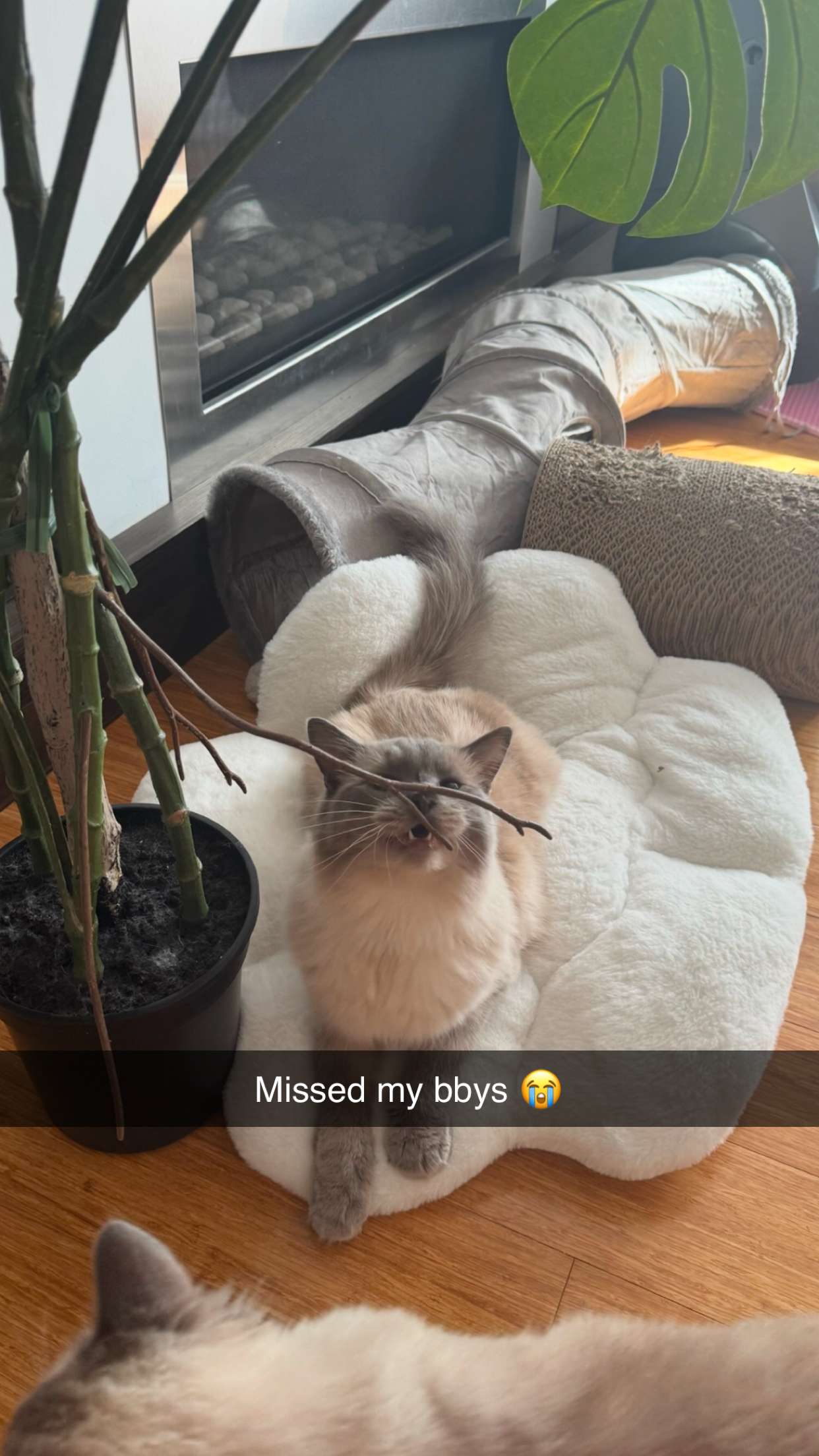 emxllouise snapchat image archive image