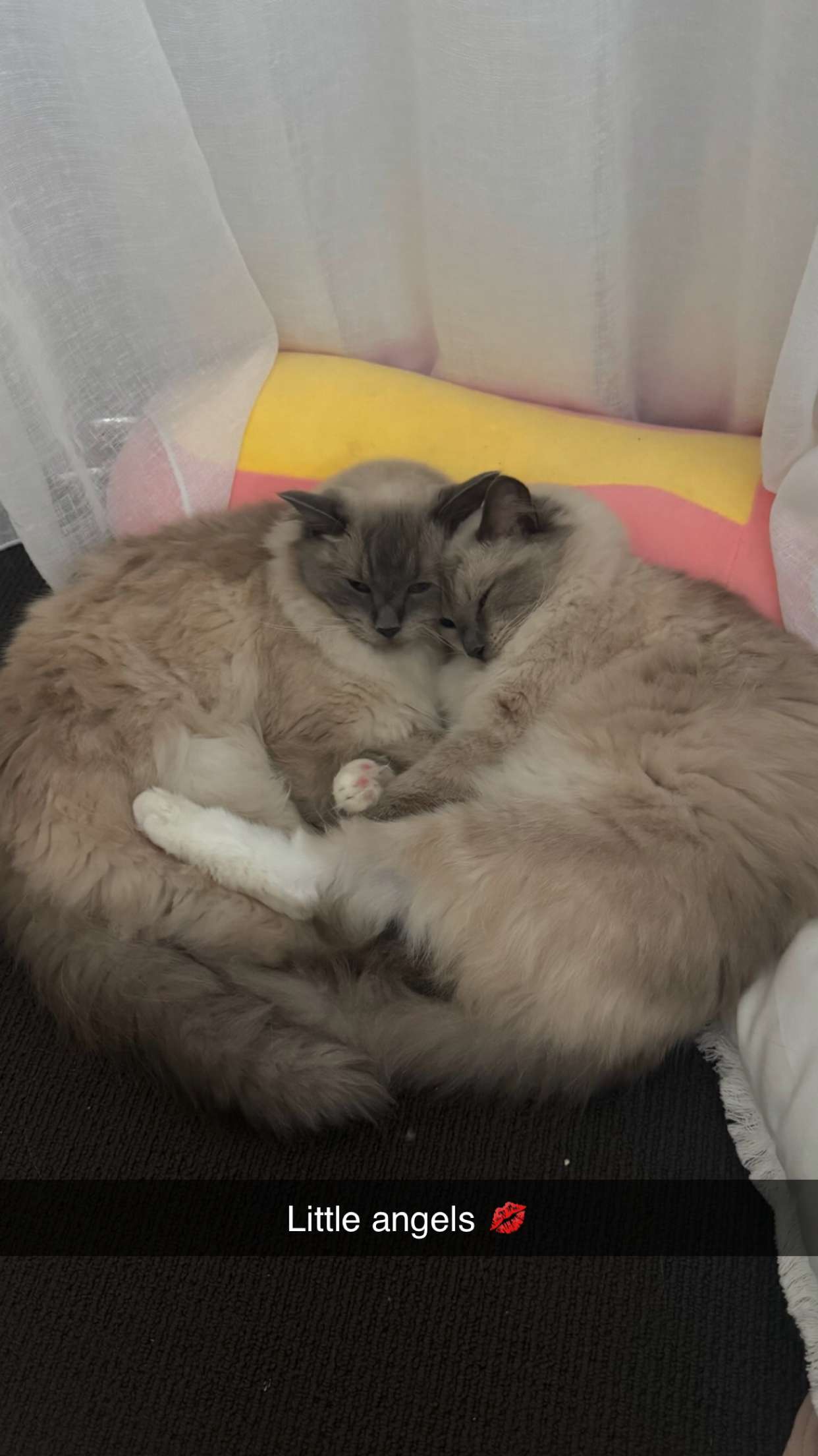 emxllouise snapchat image archive image