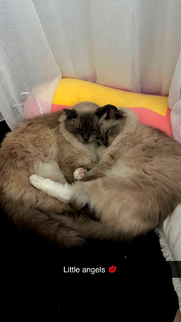 emxllouise image ~ Altpins