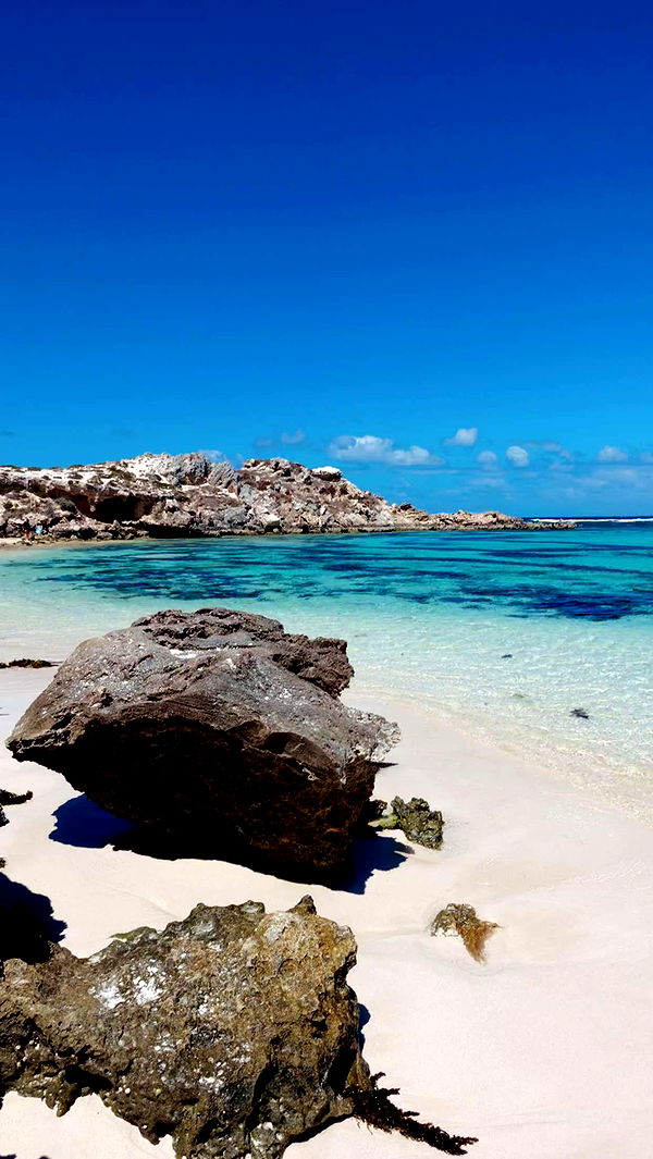 emxllouise image ~ Altpins