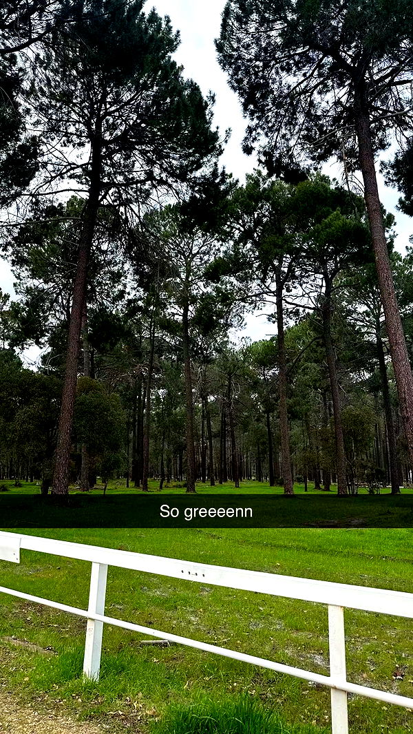 emxllouise image ~ Altpins