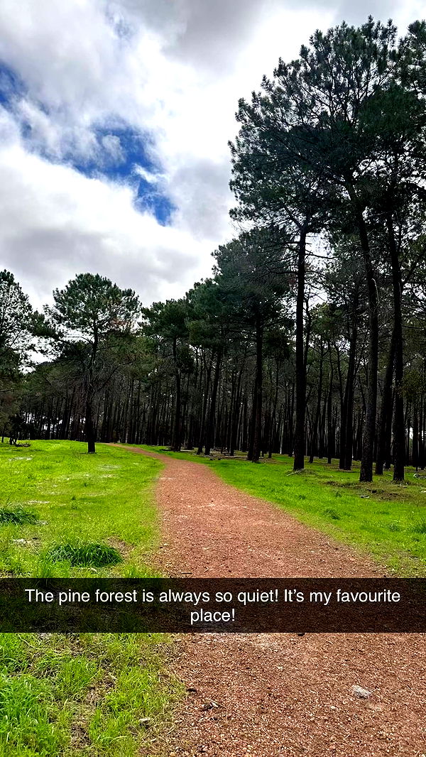 emxllouise image ~ Altpins