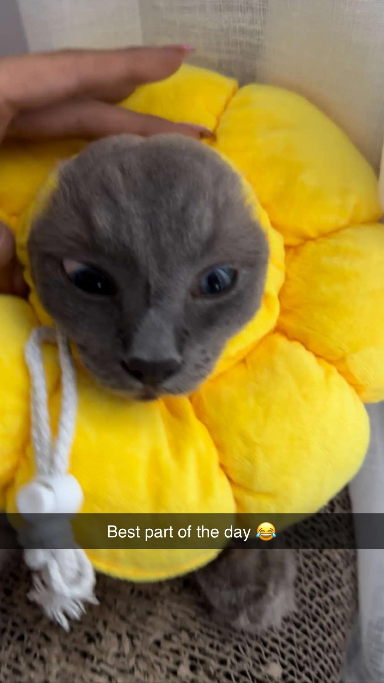 emxllouise snapchat image archive image