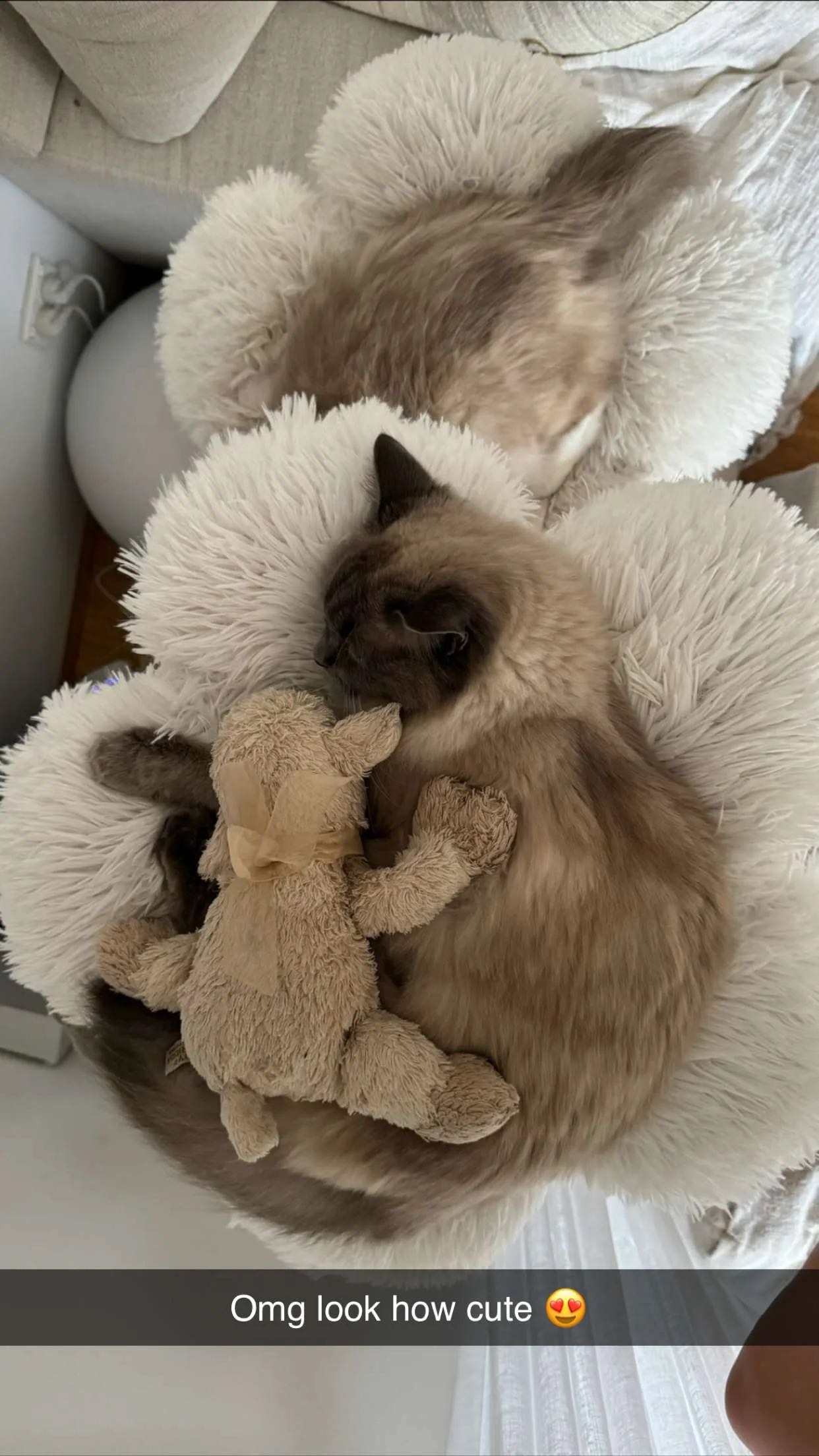 emxllouise snapchat image archive image