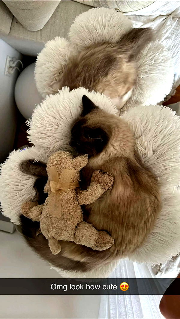 emxllouise image ~ Altpins