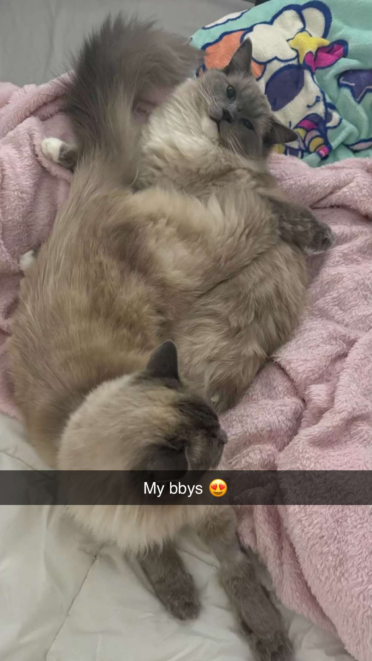 emxllouise snapchat image archive image