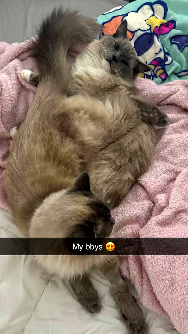 emxllouise image ~ Altpins