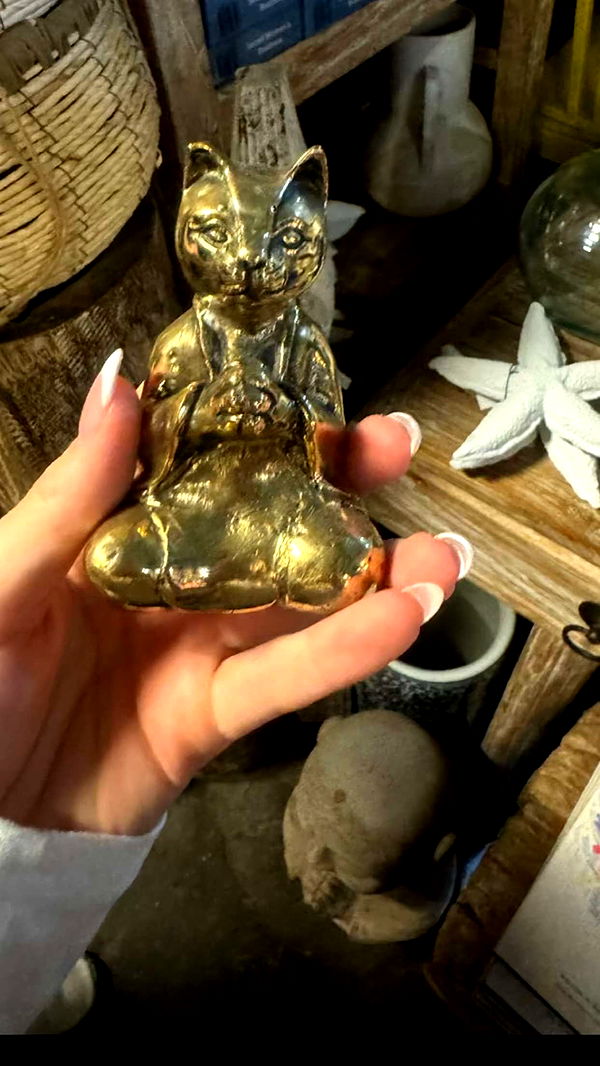 emxllouise image ~ Altpins