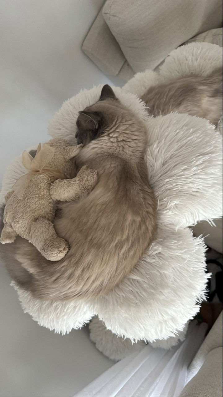 emxllouise snapchat image archive image