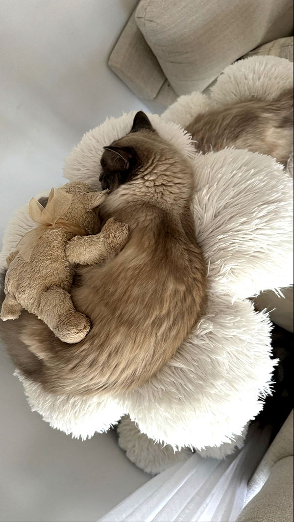 emxllouise image ~ Altpins