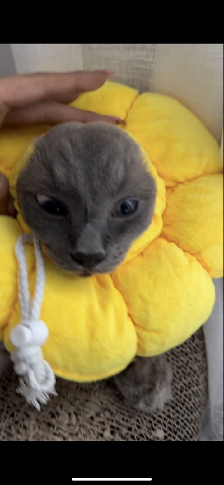 emxllouise snapchat image archive image