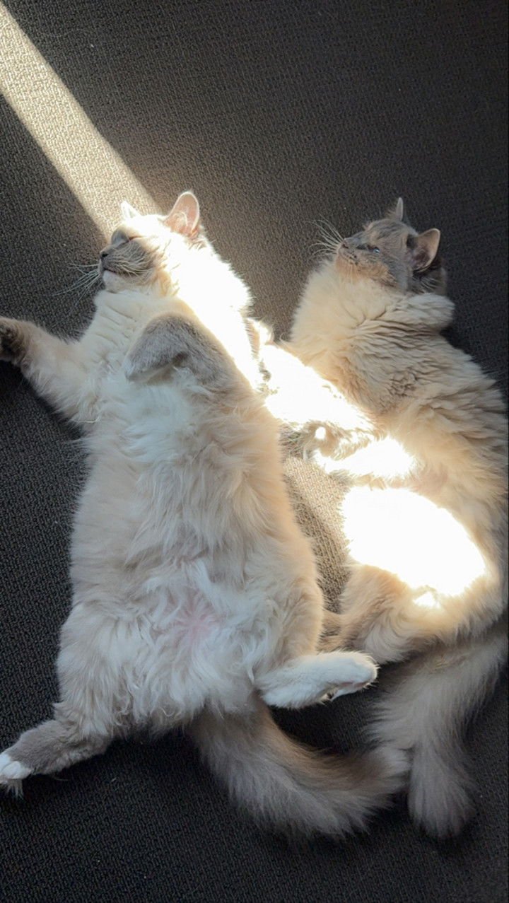 emxllouise snapchat image archive image