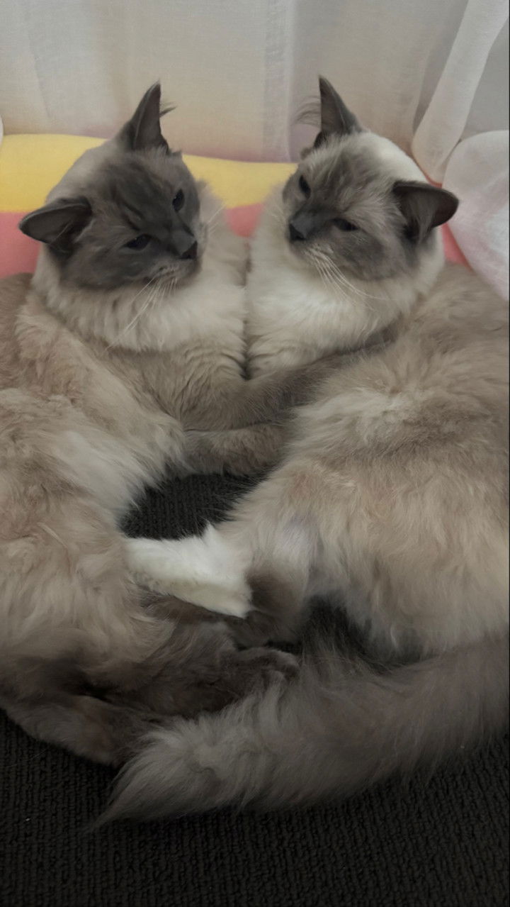 emxllouise snapchat image archive image