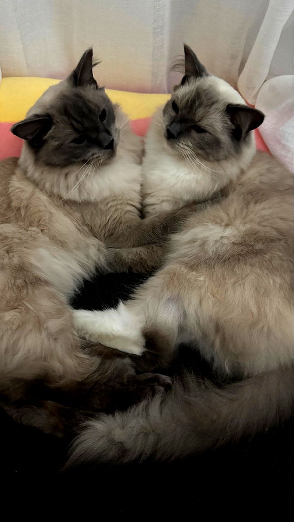 emxllouise image ~ Altpins