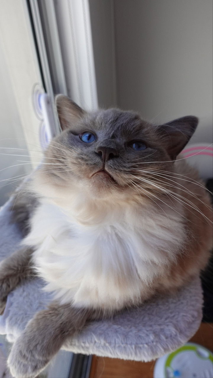 emxllouise snapchat image archive image